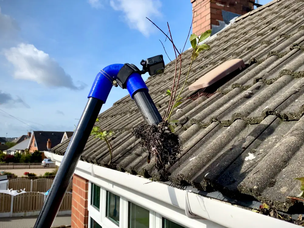 Seasonal Maintenance